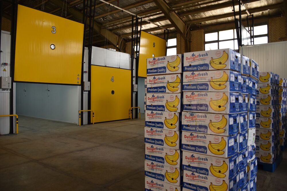 Cold chamber doors and pallets of produce in a chill room